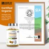 VitaBright High Strength Turmeric & Black Pepper Capsules 1440mg, 180