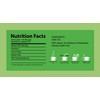 GT Green Tea, 7.06 Ounce Box (100 Tea Bags)