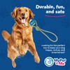 My Pet & Me - Dog Rope Toy with Tennis