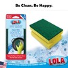Lola Products Heavy Duty Dual Purpose Non-Scratch Scouring Sponge |