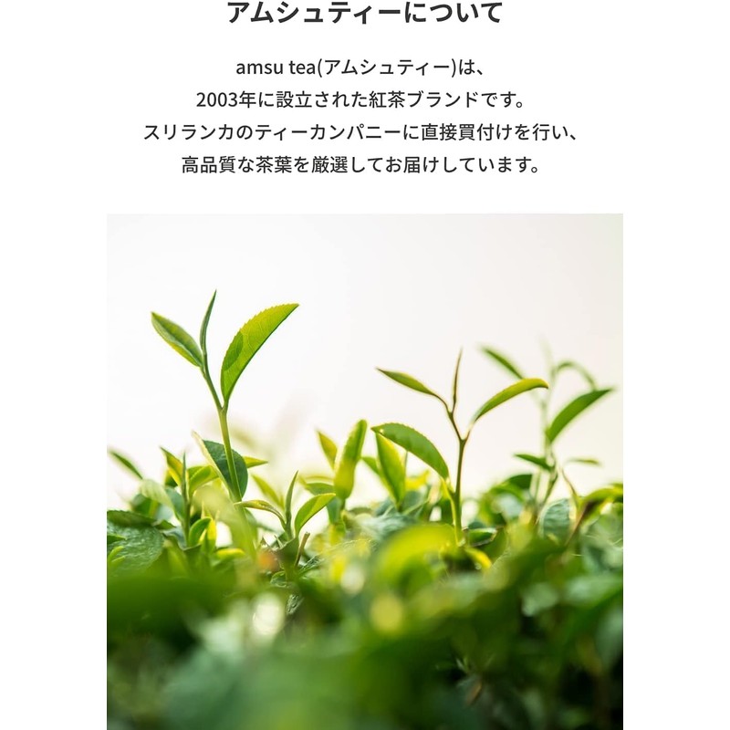 amsu tea Flavored Tea Caramel Honey Tea Bags 15 Bags