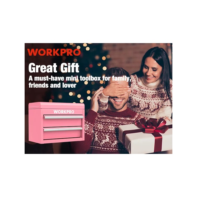 WORKPRO Mini Metal Tool Box with 2 Drawers and Top