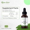 Chlorophyll Liquid | UK Sourced | 2 Month Supply 60