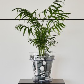 Kalapanta - Recycled Plastic Decorative Stones for Vases, Painting, Aquariums, Garden (Diameter 5-8 cm, Approx. 45 Pieces, Grey), Made in Italy