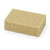 Siena Home Universal Sponge 18 x 12 x 6 Polyurethane