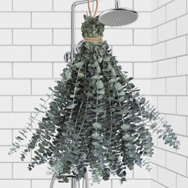 Oning 24 PCS Real Dried Eucalyptus Stems for Shower Hanging-17'' Large Preserved Eucalyptus Shower Plants Shower Stuff for Shower Decor, Fresh Eucalyptus Leaves, Fragrance, Bathroom Vase Decor
