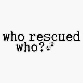 Who Rescued Who Waterproof Vinyl Window Bumper Sticker Decal 5"