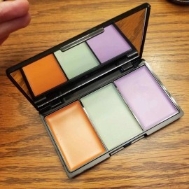 BellaPierre NEW! Bellapierre / Bella Pierre Pro Concealer Palette