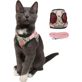 Travel Cat Strawberry Shortcake Harness & Leash Set - Adjustable Fit Mesh Cat Harness with Reflective Strap - Harness for Cats, Kittens for Outdoor (Strawberry Shortcake, Large)