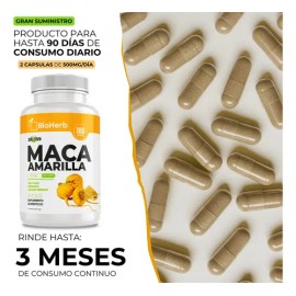 BioHerb | Maca Amarilla Peruana Orgánica 100% Pura con 180 Cápsulas de 500 mg, Potente Superfood Natural con Alta Concentración y Absorción – Calidad 