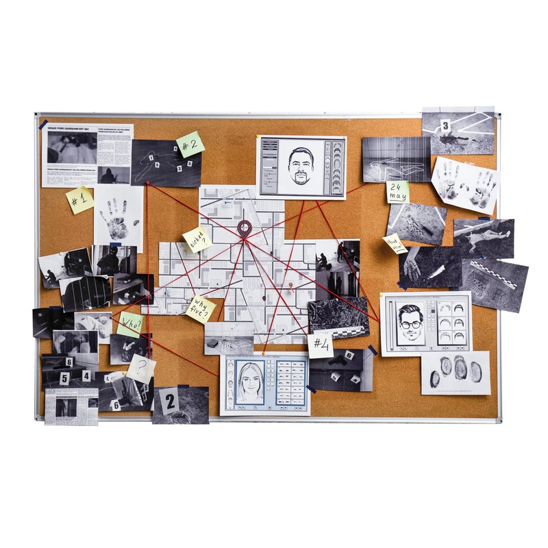 Galileo Detective Case