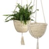 Natural Hanging Seagrass Plant Baskets Dural Layer Flower Planting Basket
