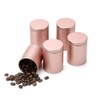 Tianhui Mini Tin Can Box Canister for Coffee Tea Candy