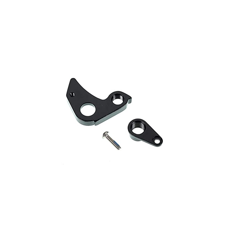 Bianchi Fork C1355146 Special Disc Infinity XE ArCADEX, C1355146
