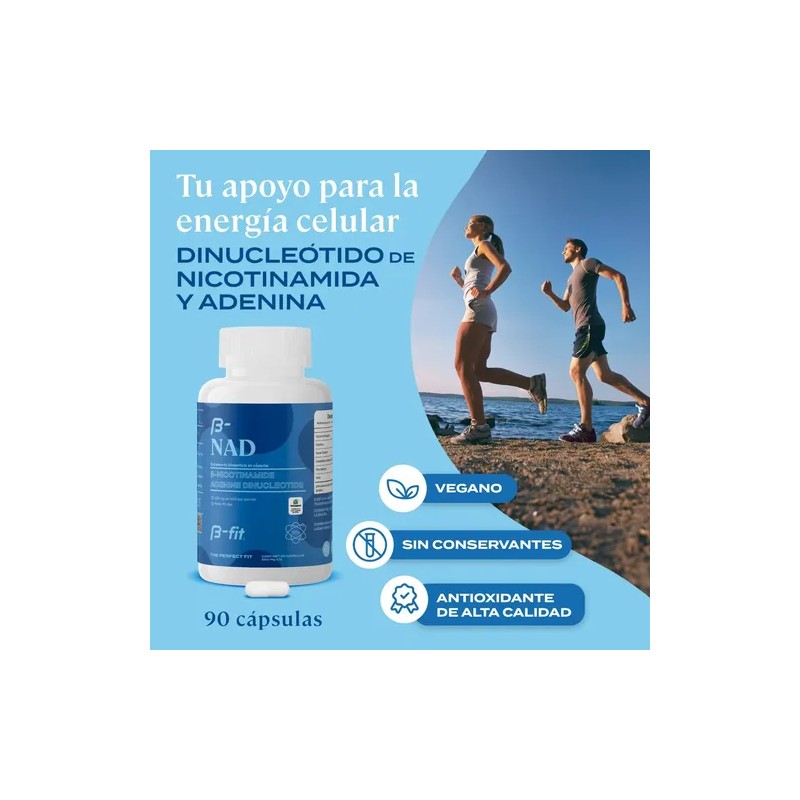 B-fit Nad 500mg 90 Cápsulas Suplemento Anti Aging