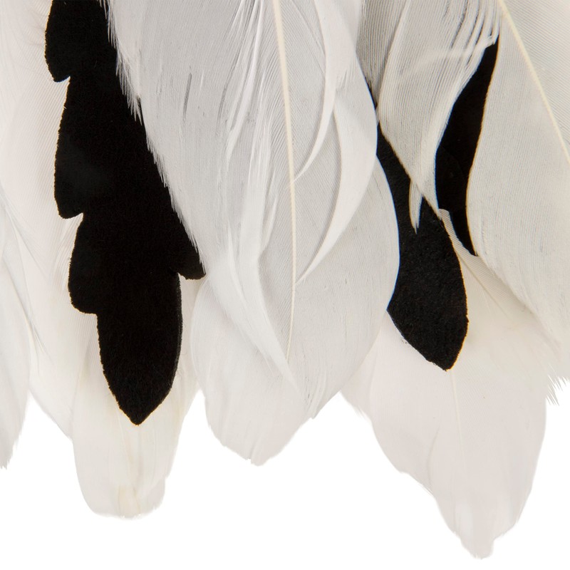 SmartyKat Instincts HappyNip Zingy Zebra Feathered Toss & Chase Interactive