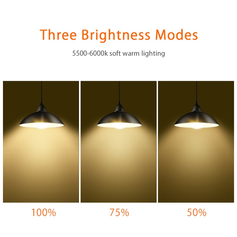 Tomshine Solar Pendants Light with Remote Control Brightness Adjustable 12