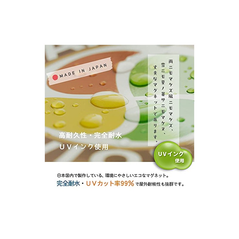 [Magnetic] Hawaiian Pattern Child In Car tyairudoinka- Magnet Sticker (Tropical)
