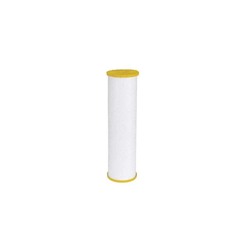 GE FTHTM Whole House Water Filter | Replacement for Water