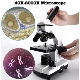 40X-2000X Microscope, Biological Microscope for Students Adults, for Home School Lab Scientific Research Education, with Microscope Slides, WF10X & WF25X Eyepieces, Accessories