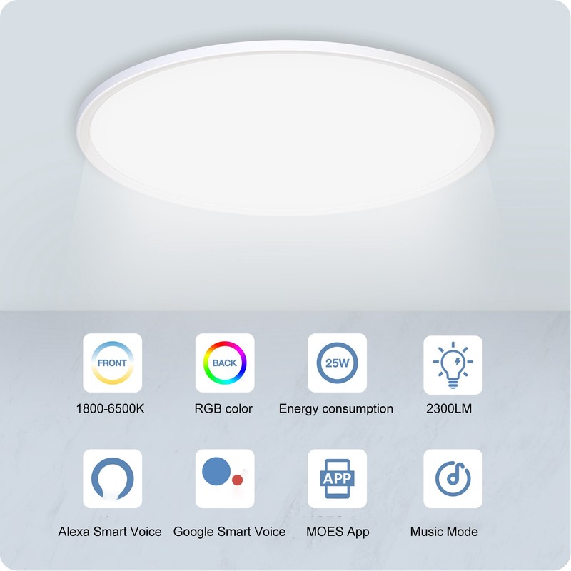 Smart Ceiling Light WiFi 25W Cold and Warm Light RGB