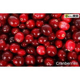 Exctic Cranberry ec092 Eco Pack 300 mg x 90 Capsules