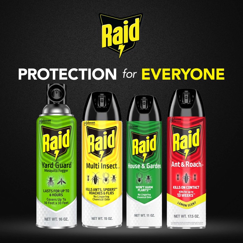 Raid House & Garden Bug Killer Aerosol Kills Bugs on