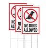 No Dogs Allowed Yard Signs with H-Frame Stakes, 8" x