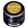 PRE GEL (プリジェル) Color EX Pumpkin Tart 3g PG-CE909, UV/LED