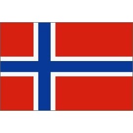 Norway Flag Polyester 2 ft. x 3 ft.