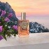 Devotion Intense by Dolce and Gabbana for Women - 3.3