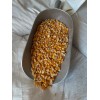 Unbranded Shelled CORN Feed Whole Squirrel Wildlife Deer Turkey Chipmunk