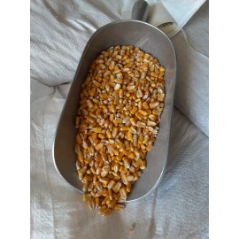 Unbranded Shelled CORN Feed Whole Squirrel Wildlife Deer Turkey Chipmunk Bird (5 or 10 lb) - 10 lb