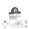 QJZ 1.9375 in Pillow Blocks Cast Iron UCP210-31 Mounted Bearing