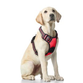 Funfox Dog Harness for Large Anti-Pull Chest Harness, Adjustable Large Dog Harness Set, Anti-Pulling Harness for Medium Dogs, Breathable No Pull Dog Harness, Red, L