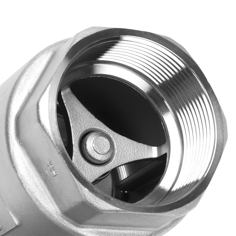 2 Inch Vertical Check Valve SUS304 Spring Loaded Check Valve