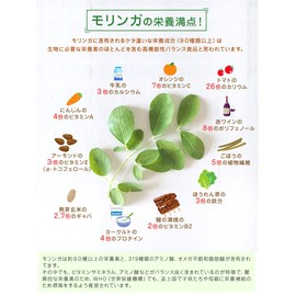 アイシー製薬 高純モリンガの粉 100ｇ