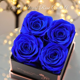 WYRIAZA Rosenbox Geschenke Für Frauen - Ewige Rose Geschenke Mama Freundin Frauen Geschenk Frau Muttertag Infinity Konservierte Eternal Blaue Rose Zum Geburtstag Jahrestag