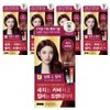 Elastine Salon de Color & Gray Hair Dyeing Cream, Wine Brown, 5 pieces / 엘라스틴 살롱 드 컬러 앤 새치 염색 크림, 와인브라운, 5개