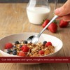 10 Pcs Stainless Steel Small Spoons,Mini Spoon,Mini Size 7.5 Cm
