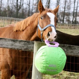 Horsemen's Pride Signature Horsemen's Pride 14-Inch Horse Jolly Tug, Blue one size