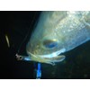 ECLIPSE Balor 90 Minnow, Lure, Lens Candy Glow Berry #087