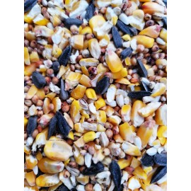 Wisconsin Special Blend COCKATIEL Feed Seed Food Premium Sunflower Corn Cardinal Squirrel Chicken USA - 9 Pounds