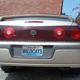 VictoryStore Front License Plate - Kentucky Wildcats!