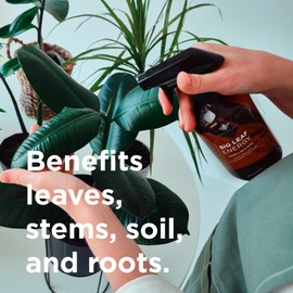 Big Leaf Energy (16 FL OZ, Glass) Organic Neem Oil Plant Spray with Essential Oils : Natural Plant Wash for Indoor Houseplants and Outdoor Gardens
