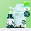 [Free Product Capacity] Round Lab Pine Soothing Cica Ampoule 30ml