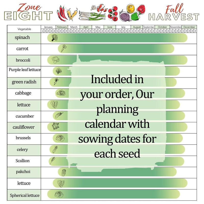 ATLAS 16 Varieties Fall Vegetable Seeds Over 20,000 Seeds