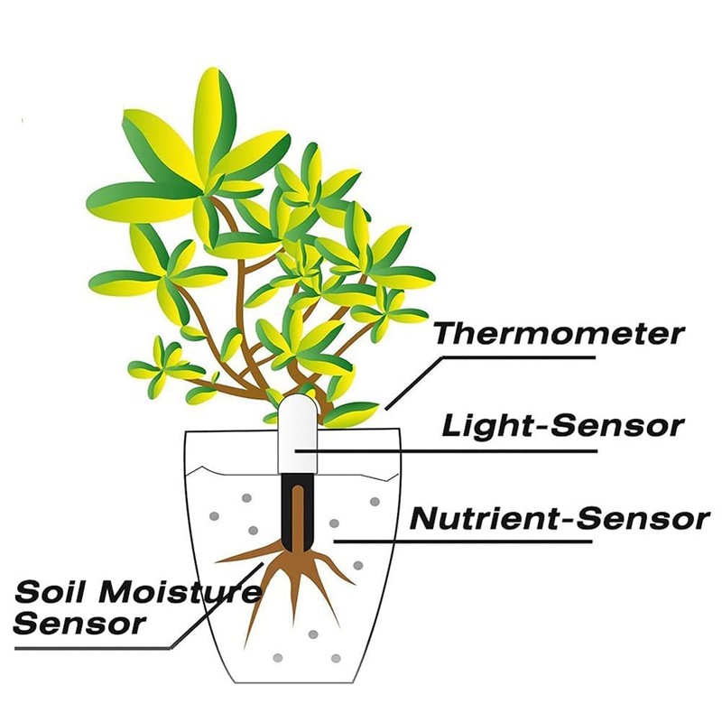 Soil Moisture Meter 4 in 1,Plant Water Monitor,Automatically detect Moisture/Temperature/Light/Fertility,Can