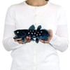colorata coelacanth Plush Ancient Fish Small Size 4.3 x 4.1