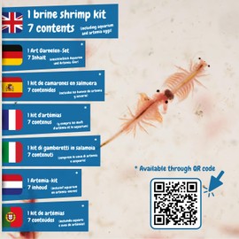 Science4you Prehistoric Crabs Breeding Set for Children 6+ - Create Your Aquatic Ocosystem with Water Dragon in Aquarium Toy - Experiment Box with Artemias, Researcher Set from 6, Medium